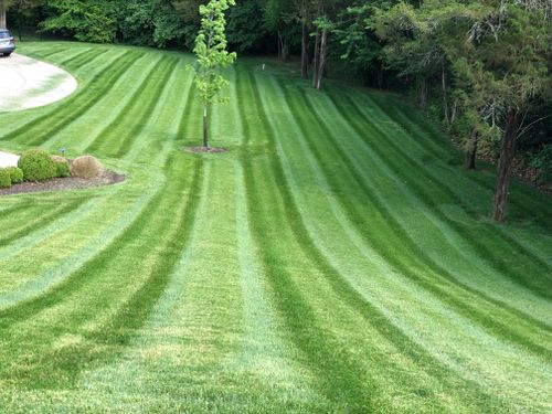 Mowing for Russell's Lawn Care Plus in Nashville, TN
