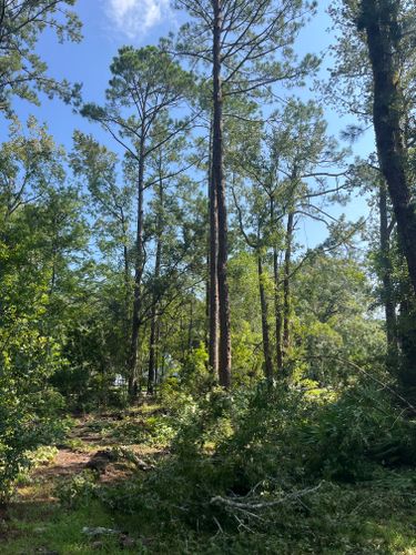  for Diamond B Earthworks in Camden County, GA