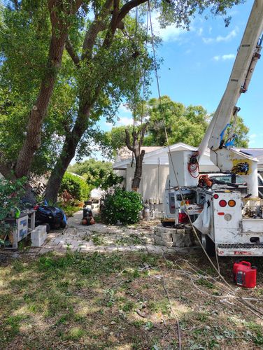  for Nick of Time Tree Service in North Port, FL