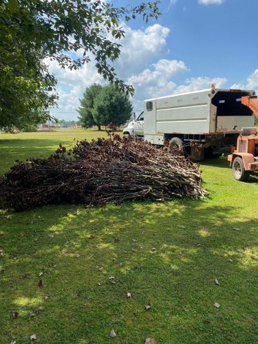 All Photos for Atwood’s Tree Care in Liberty,  KY