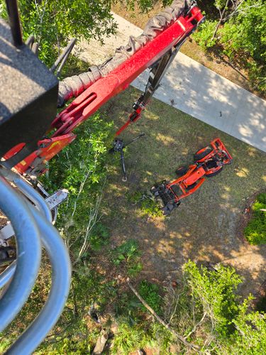 Tree Trimming for Near Me Tree Service, Inc. in DeLand, FL