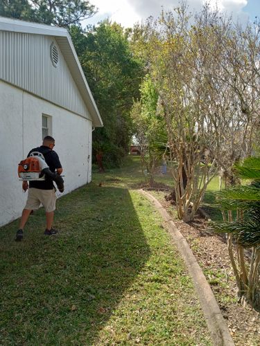 All Photos for A Southern Style Tree Service in Orlando, FL