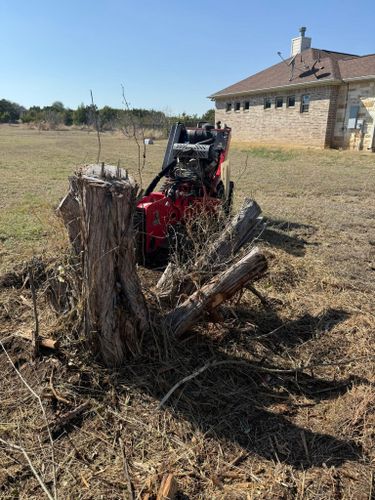 Tree Stump Grinding for Oakley’s Stump ‘N Grind in Leander, TX