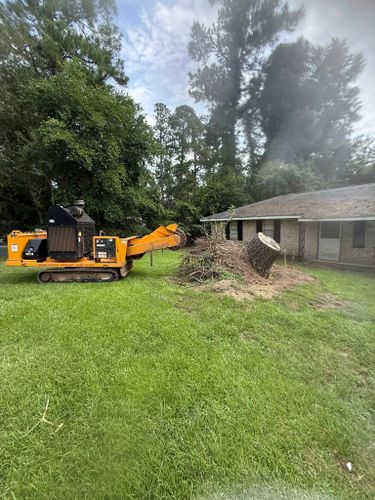 Stump Excavation for Dozier Stump Grinding in Augusta, GA