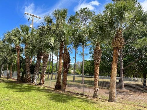 Tree Trimming for Verimay's Garden and Landscaping in Hillsborough County, FL