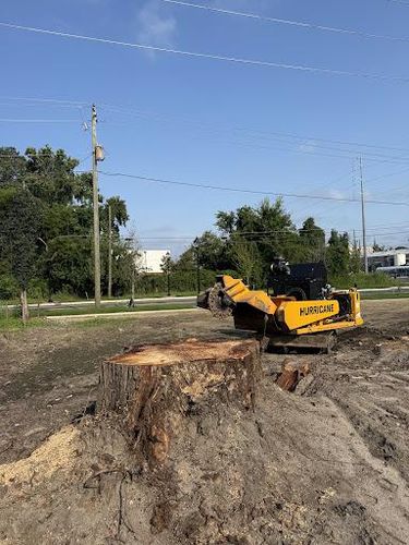 Stump Grinding for Dozier Stump Grinding in Augusta, GA