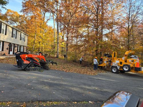 Stump Removal for W D Giampa Lawns and Landscape Inc. in Manassas, VA