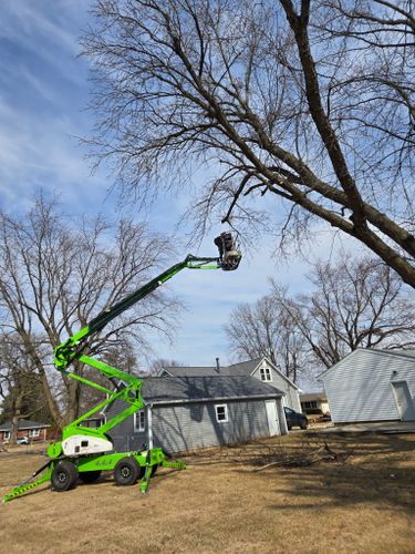 Tree Removal for Olson Tree Service, Inc in Rockford, IL