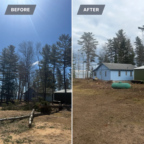 Tree Removal for J&Q Tree Service in Paradise, MI