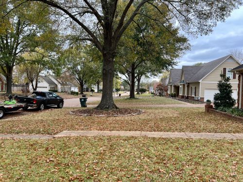 Residential Landscaping for Emory's Garden Landscape Emporium in Memphis,  TN