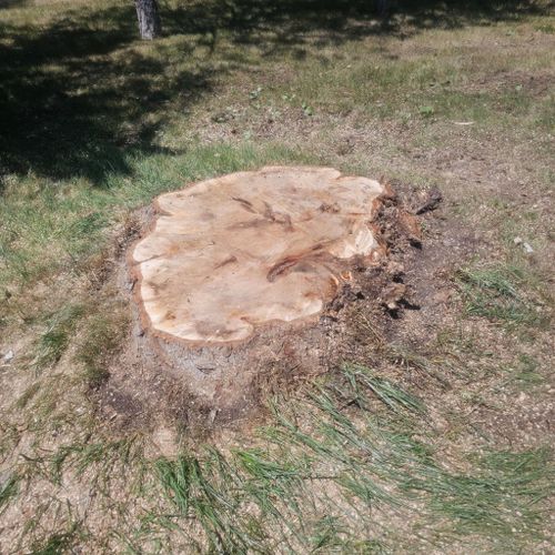  for Two Fellers Tree Service in Buffalo, WY