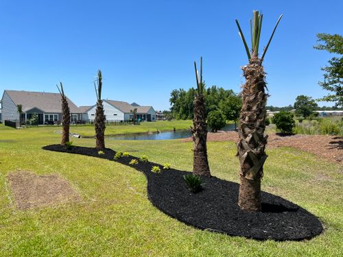 All Photos for New Creation Landscaping in Myrtle Beach, SC