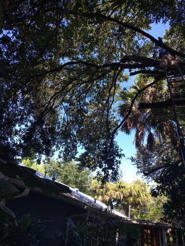  for Nick of Time Tree Service in North Port, FL