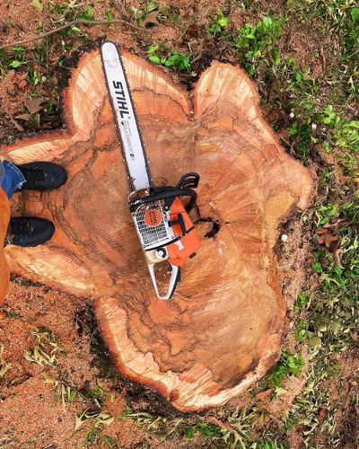  for Kingdom Tree Cuts in Birmingham, AL