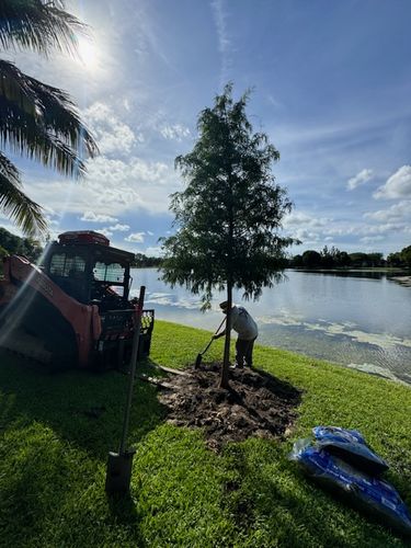 All Photos for Bridgewater Arbor Care LLC in Jupiter, FL