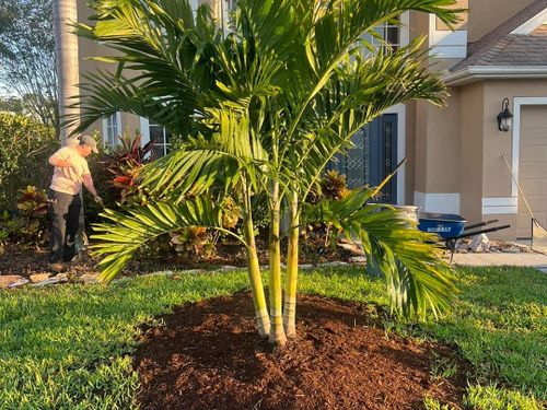 Lawn Maintenance for Florida Pro Turf in  Viera, FL