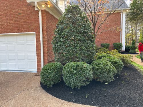 Shrub Trimming for The Right Price Right Choice Lawn Care Services in Murfreesboro, TN