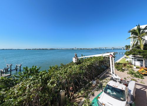 Tree Trimming for Adam's Tree and Stump Care in Sarasota, FL