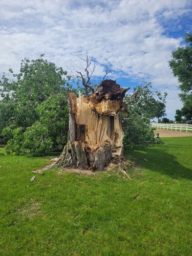  for Tree Tech in Luverne, MN