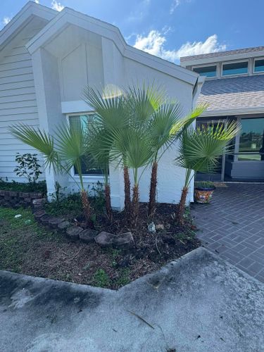 Landscape Design for BH Lawn and Landscape in Fort Myers, FL
