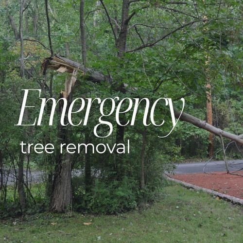  for Oakwood Tree Removal LLC in Oak Creek,  WI