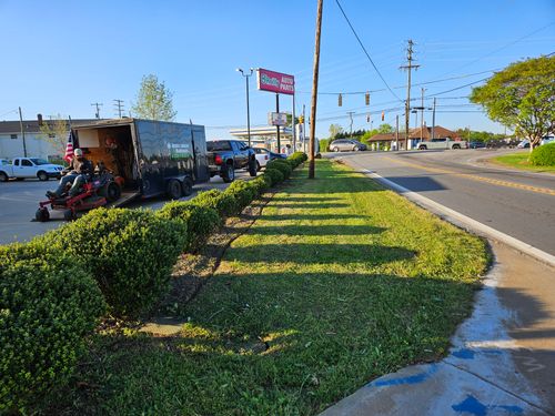  for Upstate Lawncare & Maintenance in Piedmont, SC