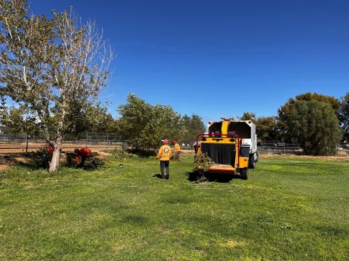  for AZ Tree & Hardscape Co in Surprise, AZ