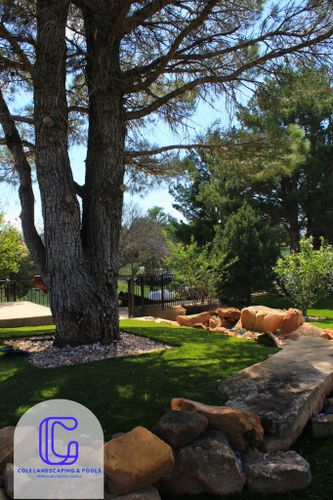  for Cole Landscaping & Pools, LLC in Amarillo, TX