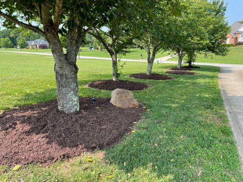 Landscape Design for Palmetto State Landscaping in Gaffney, SC