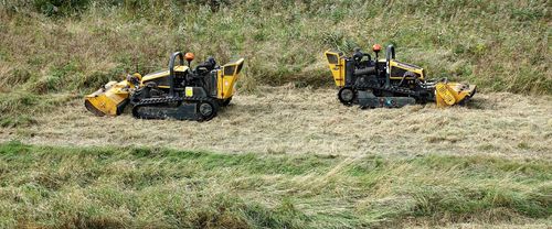 Brush Cutting for Ettere Landscape Services in Flemington, NJ
