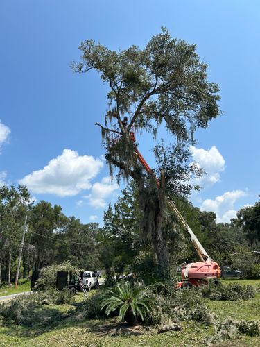  for F & F Lawn & Landscaping LLC in Crescent City, FL
