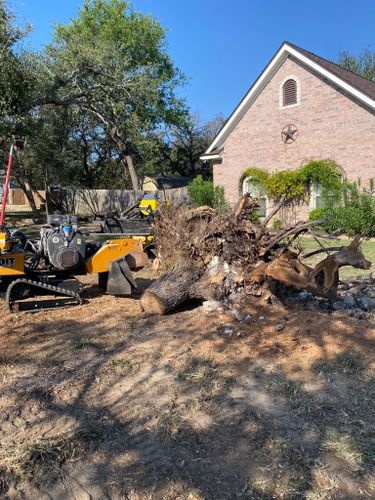 Stump Removal for West Stump Grinding in Temple, TX
