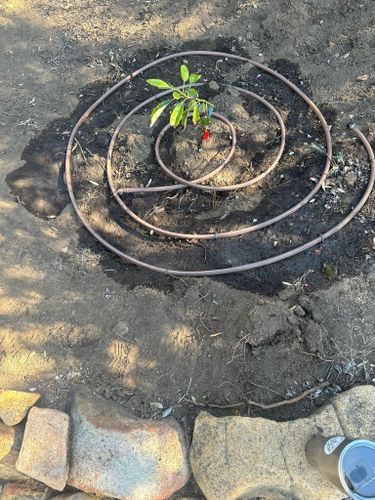 Property Beautification for The Tree Fairy in Julian, CA