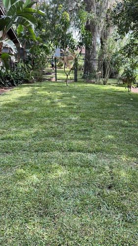 All Photos for Estrada All Pro Lawn Service in Auburndale, Florida