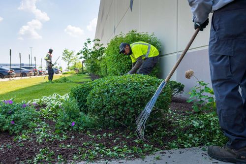 Landscape Maintenance for Thomas' Lawn Care in Maryville, MO