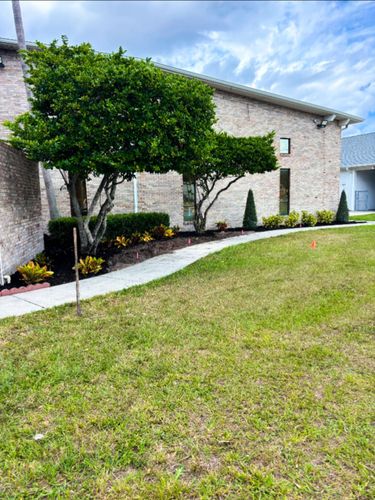 Mulch Installation for MJK Landscaping LLC in Wesley Chapel, FL