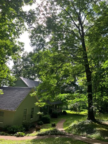  for McBee’s Tree Service in Sewanee, TN