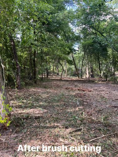 Stump Grinding and Removal for Pinewood Land Management LLC in Nashville, GA