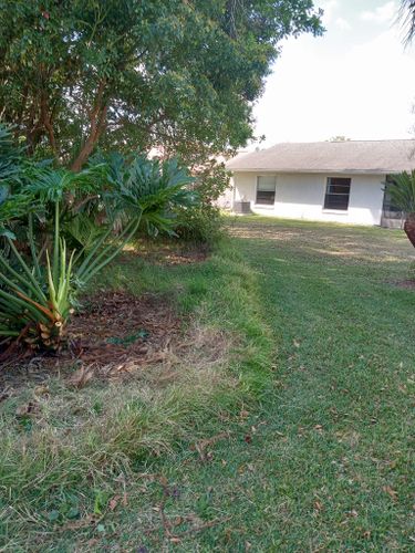 All Photos for A Southern Style Tree Service in Orlando, FL