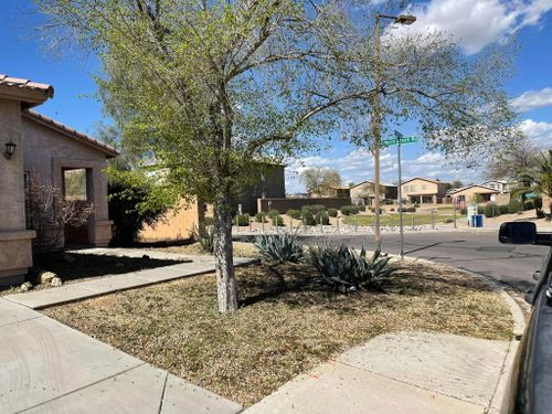 Seasonal Cleanup for Vaquero X Landscape LLC in Queen Creek, AZ