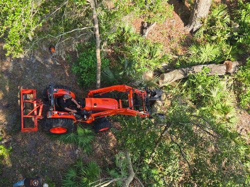 Underbrush Clearing for Near Me Tree Service, Inc. in DeLand, FL
