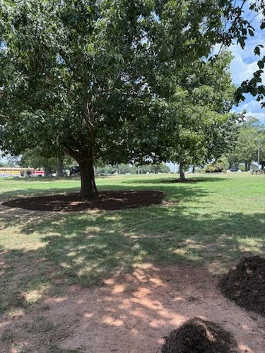  for Reiser Lawn Service in Denver, North Carolina