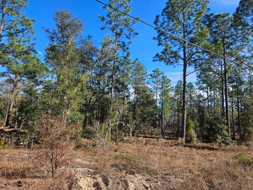  for J & E Land Clearing, LLC. in Dunnellon, FL