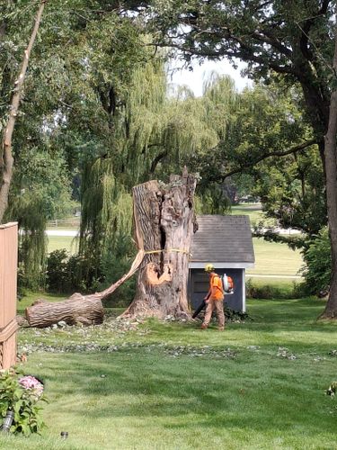 Tree Removal for Olson Tree Service, Inc in Rockford, IL