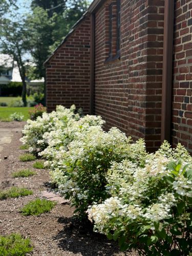 Softscaping for Hillside Landscape & Design in Chesterland, OH