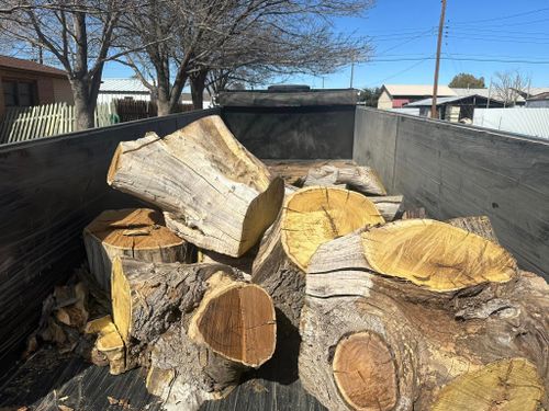 Tree Removal for Compas Cleanup in McCamey, TX