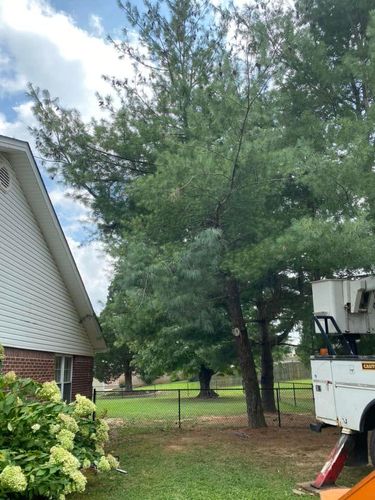 Fall and Spring Clean Up for Atwood’s Tree Care in Liberty,  KY