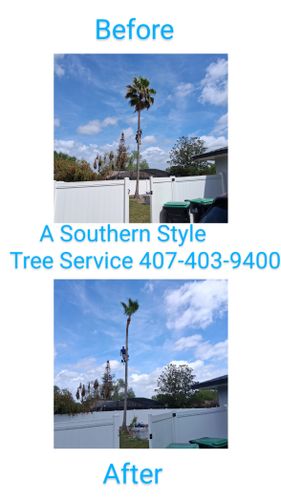 All Photos for A Southern Style Tree Service in Orlando, FL