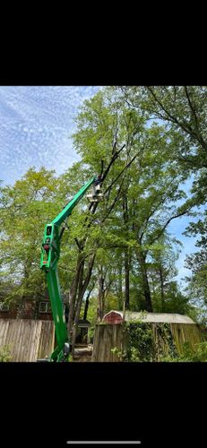 Tree Removal for E&T Outdoor Pros in LaGrange, GA