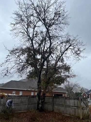 All Photos for Cornerstone Outdoor Solutions in Warner Robins, GA